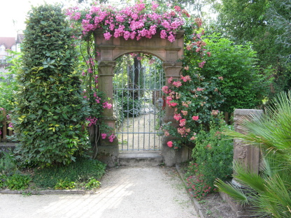 Katzscher Garten